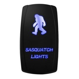 MICTUNING 20A 12V Blue LED Rocker Switch – Sasquatch Lights